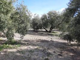 Terreno en venta en Lucena, Lucena photo 0