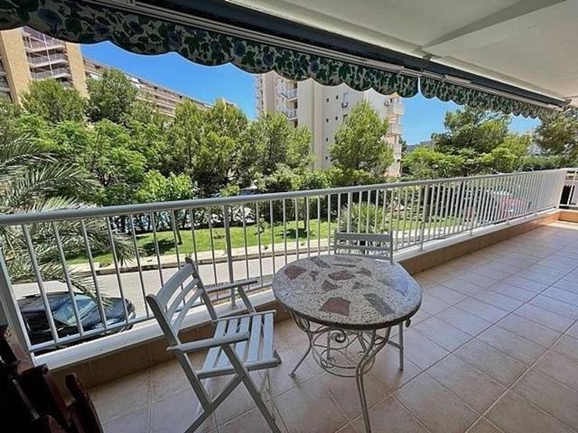 Piso en alquiler en Alicante, L'Alacantí photo 0