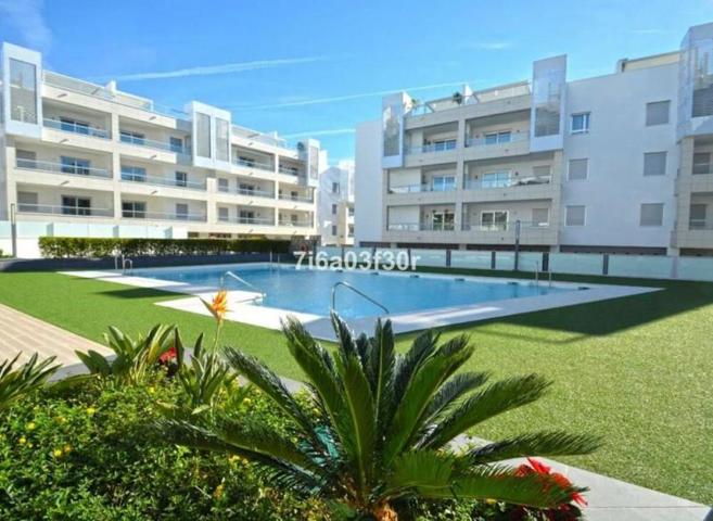 Apartamento en alquiler en San Pedro de Alcántara, San Pedro Playa photo 0