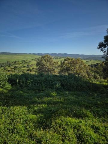 Terreno en venta en Almodóvar del Río, Urb. la cigarra baja photo 0