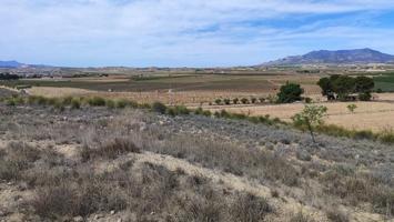 Terreno en venta en Pinoso, Pinoso photo 0