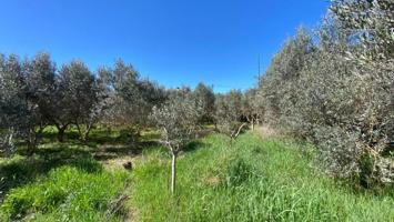 Terreno en venta en Grañén, Aragon photo 0