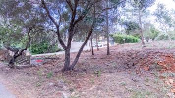 Terreno en venta en Denia, MON MITAD photo 0