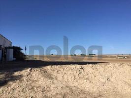 Terreno en venta en Trebujena, Costa noroeste photo 0