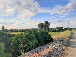 Terreno en venta en Carcaixent, Comunidad valenciana photo 0