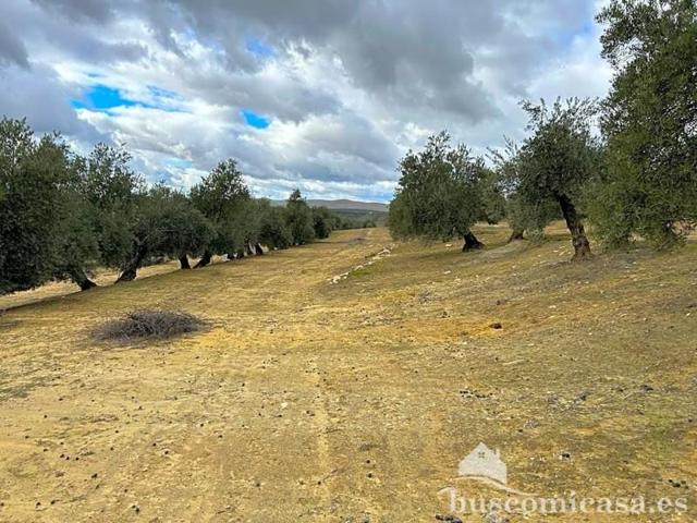 Terreno en venta en Ibros, Principal, 23450 photo 0