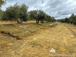 Terreno en venta en Ibros, Principal, 23450 photo 0