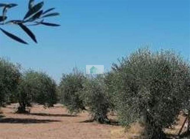 Terreno en venta en Montijo, LOS ARENALES photo 0