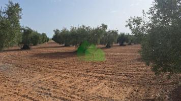 Terreno en venta en Montijo, LOS ARENALES photo 0