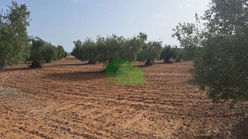 Terreno en venta en Montijo, LOS ARENALES photo 0