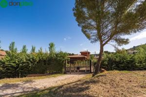 Terreno en venta en Iznalloz, Andalucia photo 0