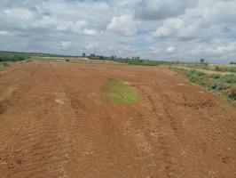 Terreno en venta en Montijo, CAMINO VIEJO DE BARBANO photo 0