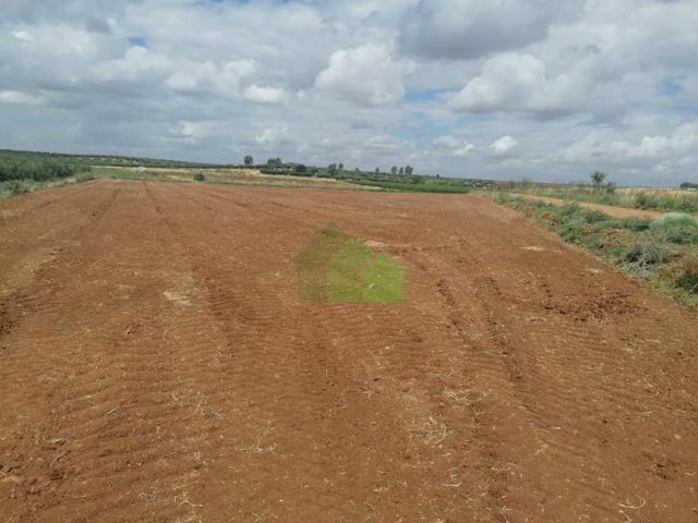 Terreno en venta en Montijo, CAMINO VIEJO DE BARBANO photo 0