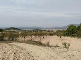 Terreno en venta en Abanilla photo 0