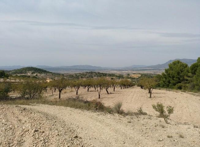 Terreno en venta en Abanilla photo 0