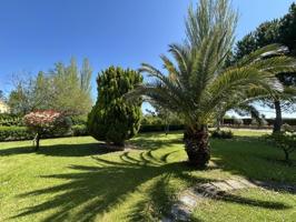 Casa con terreno en venta en Alfaro, Avenida del Ebro, 26540 photo 0