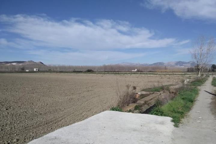 Chalet en venta en Santa Fe, A pie de autovia photo 0