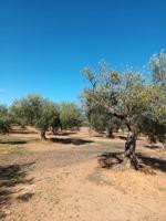 Terreno en venta en Rossell, Rossell photo 0