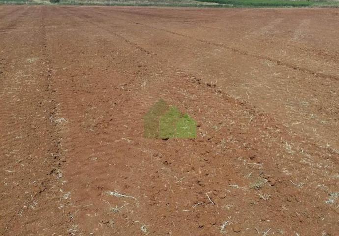 Terreno en venta en Montijo, EL ENCINAR photo 0