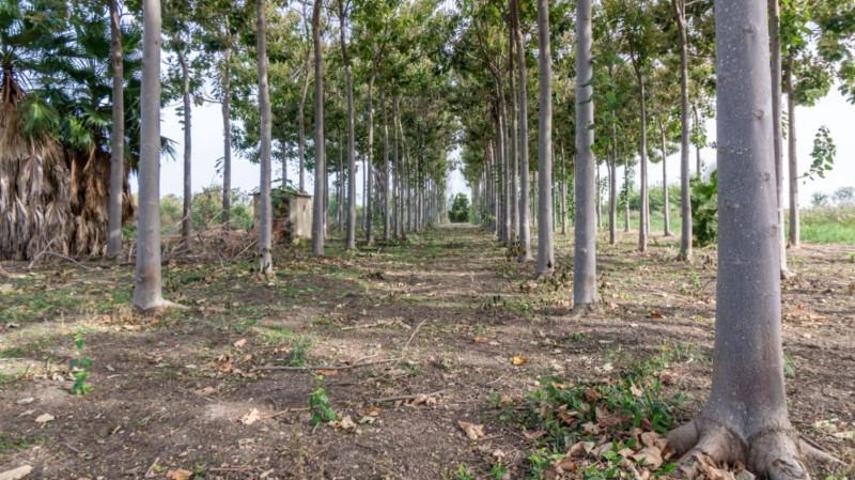 Terreno en venta en Pego photo 0