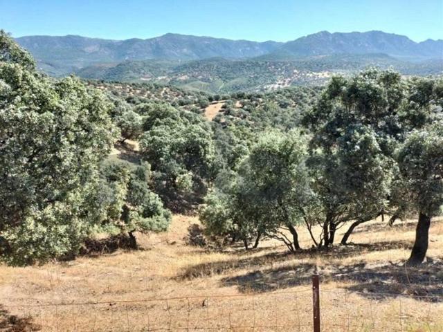 Terreno en venta en Fuencaliente, Sierra Morena photo 0