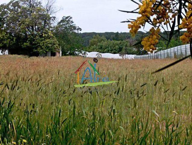 Terreno en venta en Almonte, Almonte photo 0
