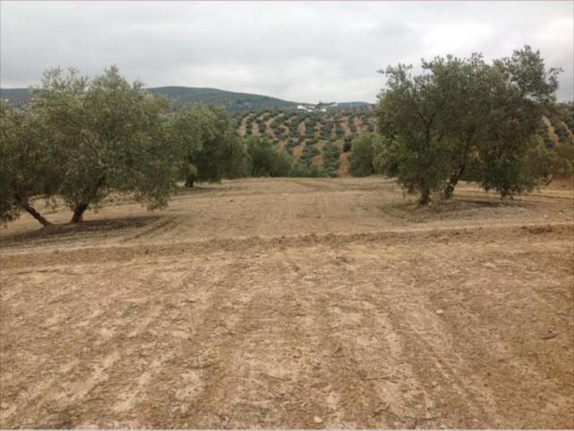 Terreno en venta en Lucena, Lucena photo 0
