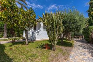 Chalet en venta en Torrevieja photo 0