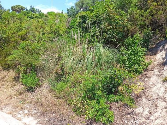 Terreno en venta en Lloret de Mar photo 0