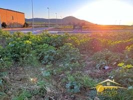 Terreno en venta en Calamonte, Calle Libertad, 06810 photo 0