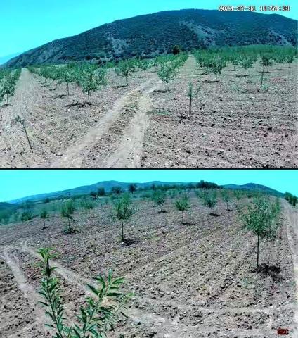 Terreno en venta en La Vilueña, PARAJE MADRUGAO, 50219 photo 0