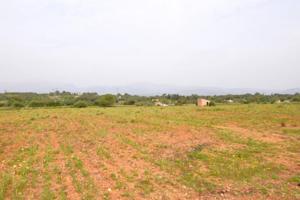 Terreno en venta en Llubí, Llubi photo 0