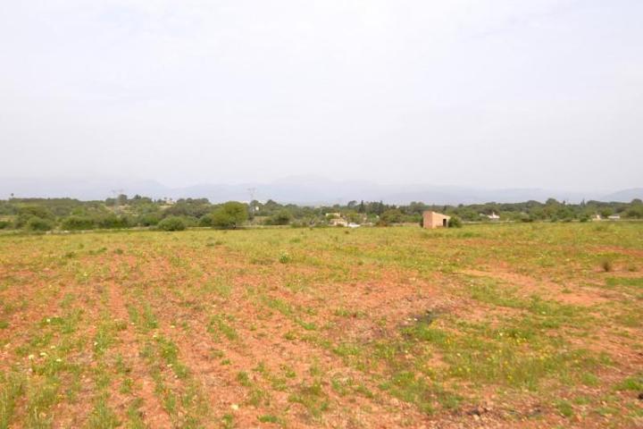 Terreno en venta en Llubí, Llubi photo 0