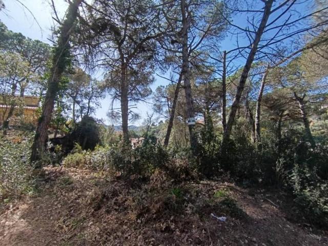 Terreno en venta en Vidreres, Vidreres photo 0