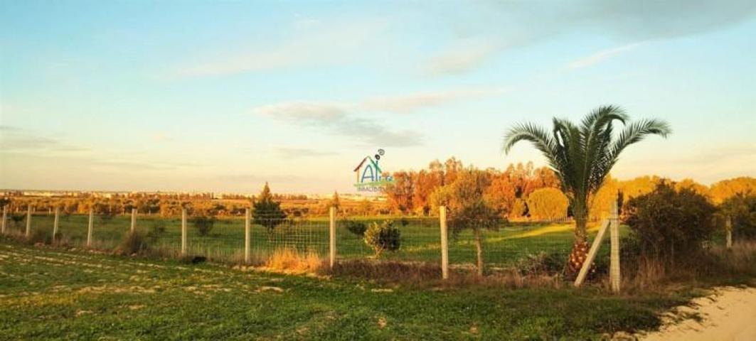 Terreno en venta en Almonte, Almonte photo 0