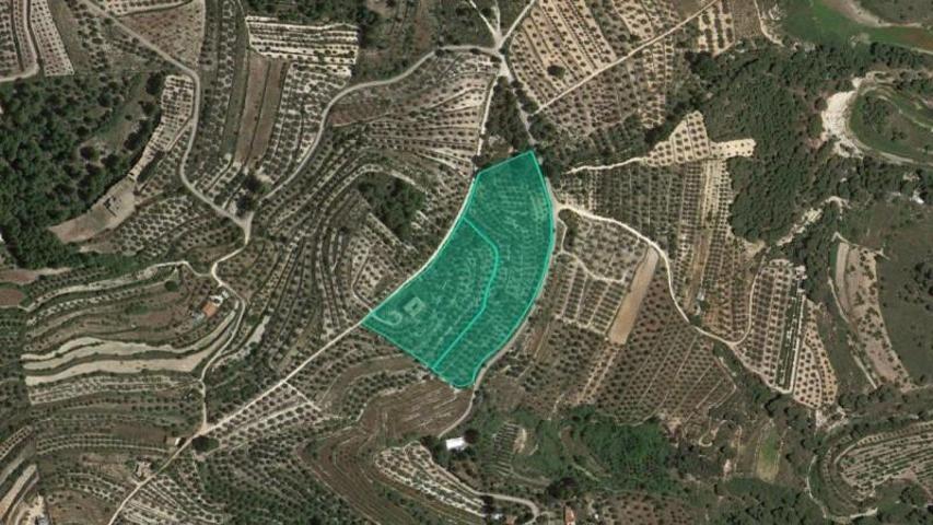 Terreno en venta en Planes, Pueblo photo 0