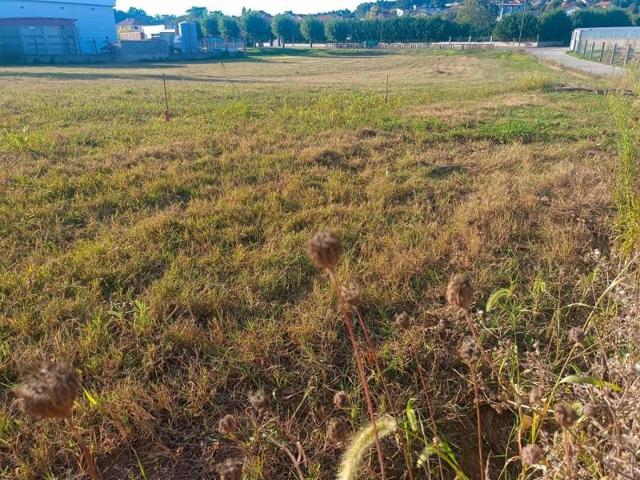 Terreno en venta en Sanxenxo, Salnés photo 0