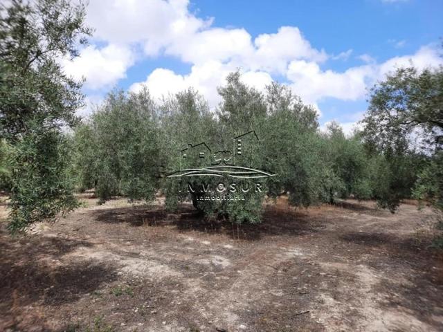 Terreno en venta en Lucena, Lucena photo 0