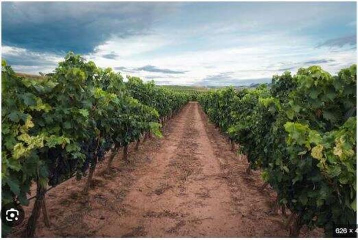 Terreno en venta en Badajoz, Zafra photo 0