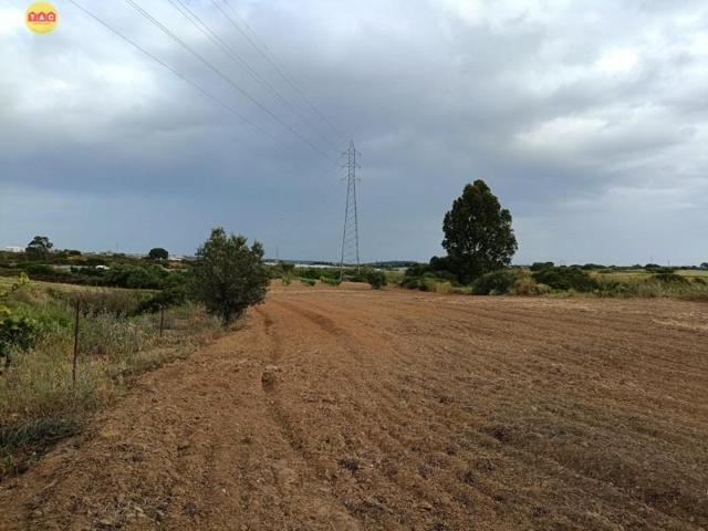 Terreno en venta en Lepe, Rural photo 0