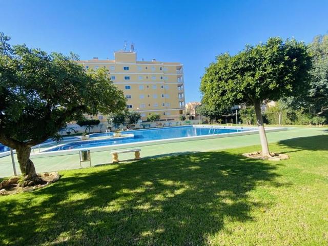 Apartamento en venta en Torrevieja photo 0