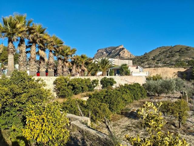 Casa con terreno en venta en Petrer, El Cid photo 0