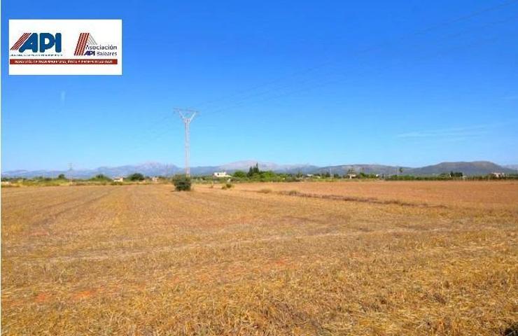 Chalet en venta en Muro, Muro photo 0