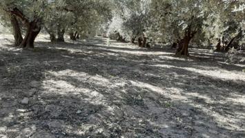 Terreno en venta en Tíjola, El pago de dali photo 0