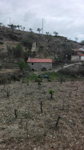 Terreno en venta en Tahal, Tahal photo 0