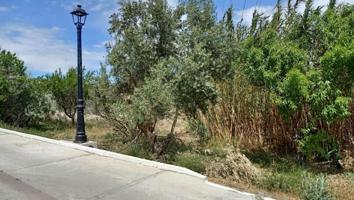 Terreno en venta en Lúcar, Lucar photo 0