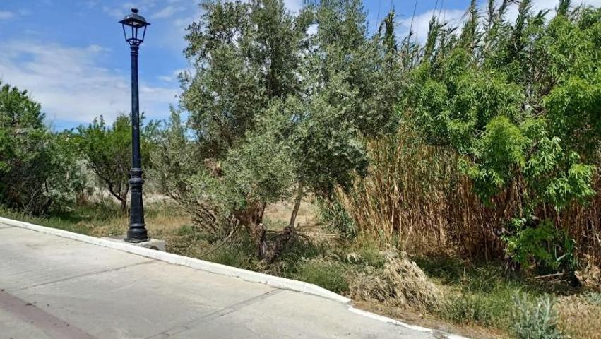 Terreno en venta en Lúcar, Lucar photo 0