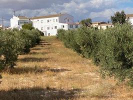 Terreno en venta en Alcóntar, Hijate photo 0