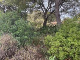 Terreno en venta en Jávea-Xàbia, Partida Capsades, Rebaldi photo 0
