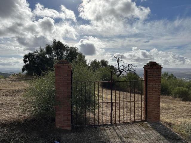 Terreno en venta en Córdoba, Encinares de Alcolea photo 0